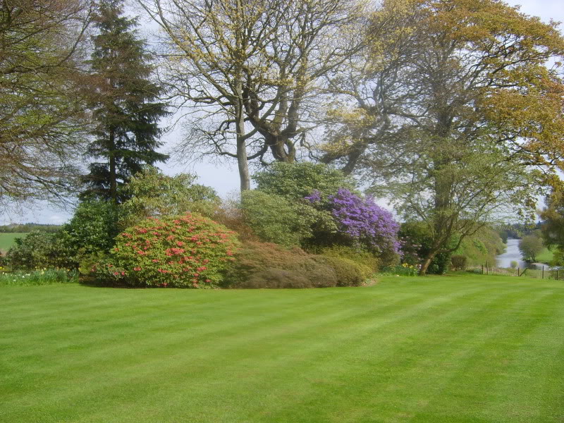 Gary Hedges gardening